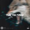 Now You Know (feat. Rydah, Lil Spacely & Steez Malase) (Explicit) - ALPY&Rydah&Lil Spacely&Steez Malase