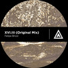 XVI.III (Original Mix) - Felipe Brizzi