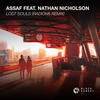 Lost Souls (Radion6 Remix) - Assaf&Nathan Nicholson