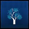 Fall at Your Feet - Clare Bowditch