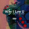 Why I Love u...(feat. Jansport J) (Explicit) - Quentin Miller&Jansport J