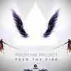 Broken Arrow - Psilocybe Project