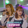 Gowor - Denik Armila