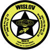 Do You Wanna Stay - Wislov