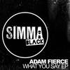 What You Say (Original Mix) - Adam Fierce