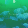 Remember - Krag