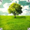 Blowin' O's(feat. Eman) (Explicit) - Viel'a Veil&Eman