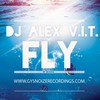 Fly (Radio Edit) - DJ Alex V.I.T.