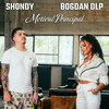 Motivul Principal - Shondy&Bogdan DLP