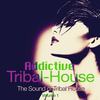 Crisalis (Tribal Mix) - Cool Brothers