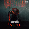 Sensei (Explicit) - Drippy Kwon
