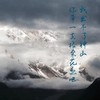 我出不了神山，你带一支格桑花走吧 - 四木