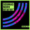 Still Waiting (Original Mix) - Seumas Norv