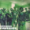 Freebies (Explicit) - Skengdo