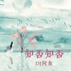 知否知否 (DJ何友 remix) (Remix) - DJ何友