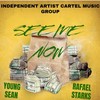 See Me Now(feat. RAFAEL STARK) (Explicit) - Young Sean&RAFAEL STARK