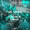 Vai Caindo Com Potrancão (Explicit) - MC Menor JB&Dj Danni