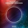 Healing Wounds (Original Mix) - Distant Identity