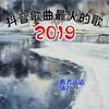 抖音歌曲最火的歌2019 - 歌者达达&体ZI