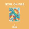 Soul On Fire - Zhr