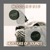 Muntras Of Sound (Everything Changes Remix) - Msolnusic