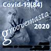 Plandemic - groovemasta