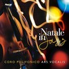 Puer Natus - Fabrizio Mandolini&Mauro De Federicis&Carmine Leonzi&Coro Polifonico Ars Vocalis