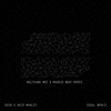 Cruel World (Wolfgang Wee & Markus Neby Remix) - Seeb&Skip Marley