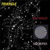 Twinkle - The WILD&John James Cook