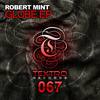 Globe (Original Mix) - Robert Mint