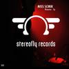Mercur (Original Mix) - Miss Sonik