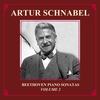 I. Adagio sostenuto - II. Allegretto - III. Presto agitato - Artur Schnabel