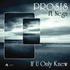If U Only Knew (Steve Mill Remix) - Prosis&Nega&Steve Mill