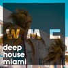 Welcome Back (Super Deep Mix) - Dean Franklin