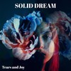 The Last Advertisement Signs - Solid Dream