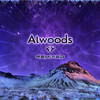 Near Light (Astral Waves Remix) - Alwoods&Astral Waves