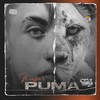 Puma - Kugar