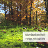 British Summer - Nature Sounds Worldwide