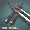 528 Hz Tuning Fork - AllNoise