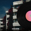 Vines - DSTRT