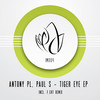 Tiger Eye (Original Mix) - Antony PL&Paul S