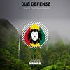 Israel (Original Mix) - Dub Defense