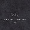 Organic Head (Original Mix) - Antony PL&Paul S