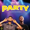 Party (Explicit) - Sam Gee&Bisa Chris