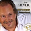 Der Deejay (...war schuld daran) - Bert Silver