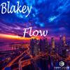 Night On My Mind - Blakey