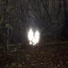 hear me now (feat. rans0m & nora evelyne) (Explicit) - Heroine Diaries&rans0m&nora evelyne