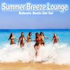 Warm Summer (Sunrise to Sunset Mix) - Satin Dub Soul&Richard Clarkson