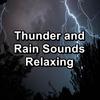 Cozy Rain with Alpha Waves Relaxing and Loopable for a 10 Hours Sleep - Soothing Nature Sounds&Nature&Nature Tribe