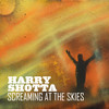 Virtual Insanity (Explicit) - Harry Shotta&Westy